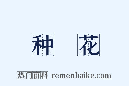 种橦花是什么意思的图片
